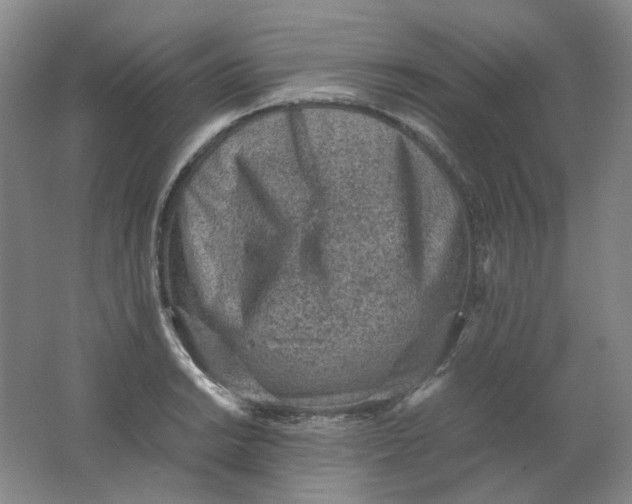X0000062151038200512231527