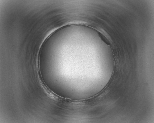 X0000062151044200512231527