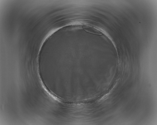 X0000062151045200512231527