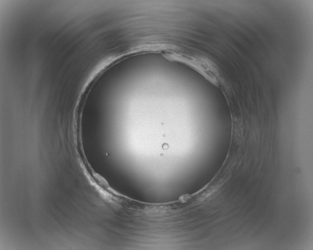 X0000062151046200512231527