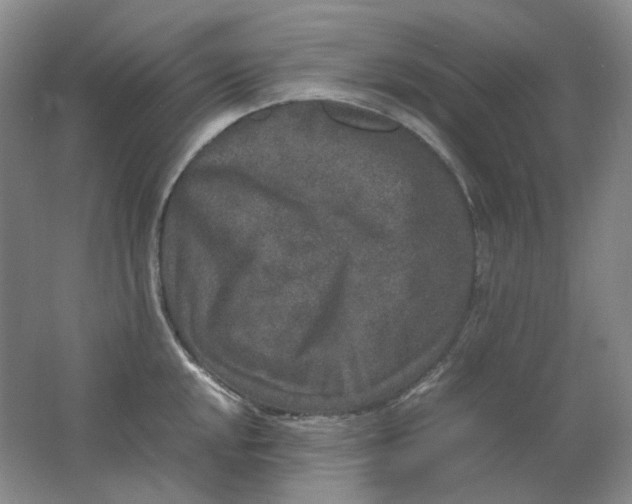 X0000062151048200512231527