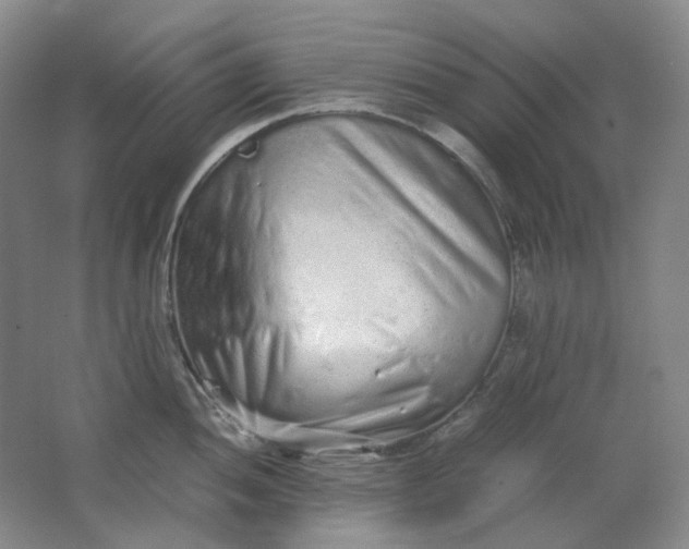 X0000062151052200512231527