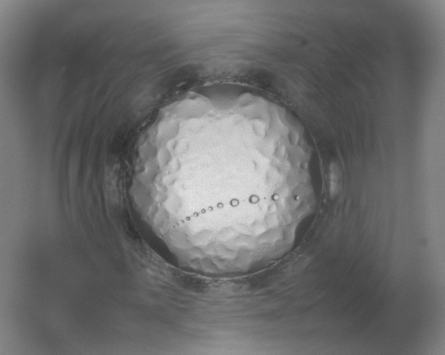 X0000062151059200512231526
