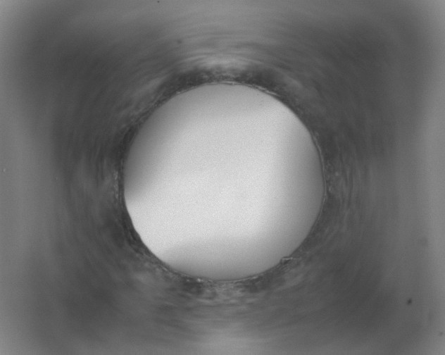 X0000062151061200512231526