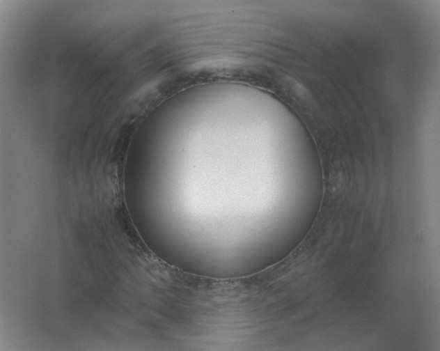 X0000062151062200512231526