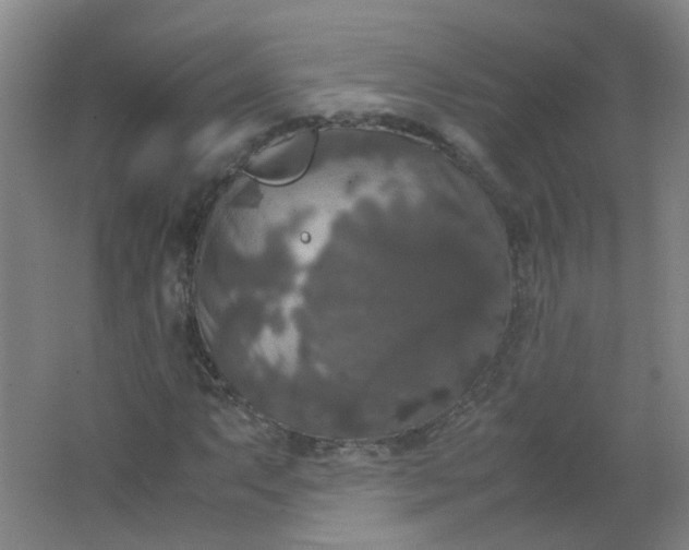 X0000062151063200512231526