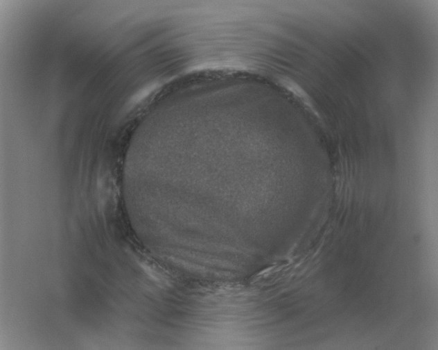 X0000062151064200512231526