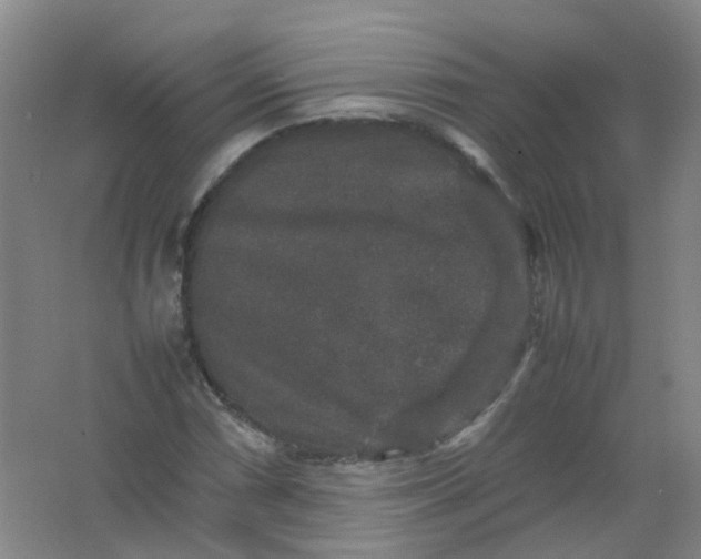 X0000062151066200512231526