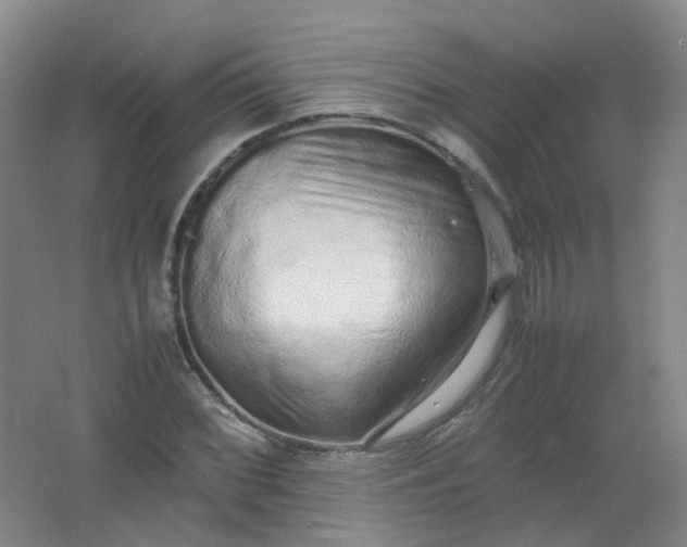 X0000062151068200512231526