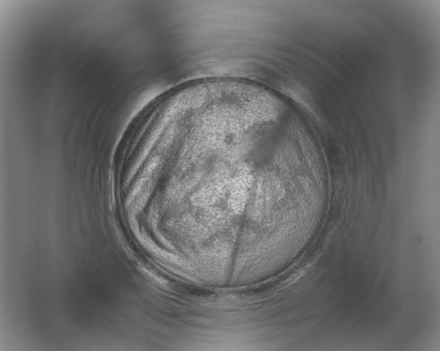 X0000062151079200512231526