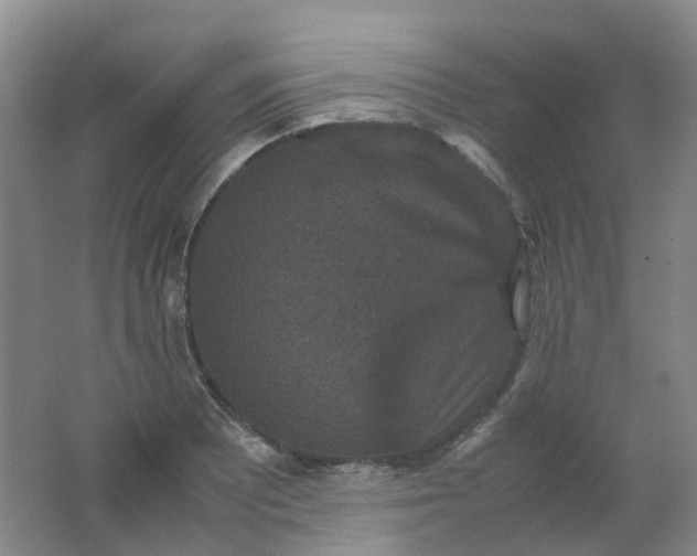 X0000062151081200512231526