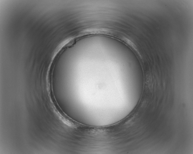 X0000062151082200512231526