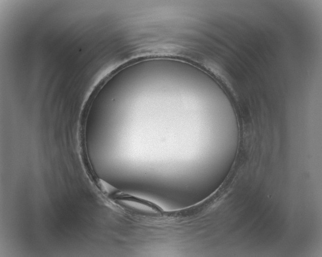 X0000062151085200512231526
