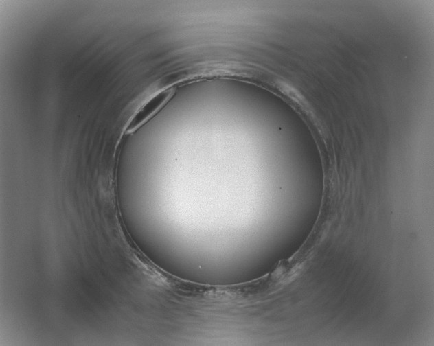 X0000062151089200512231526