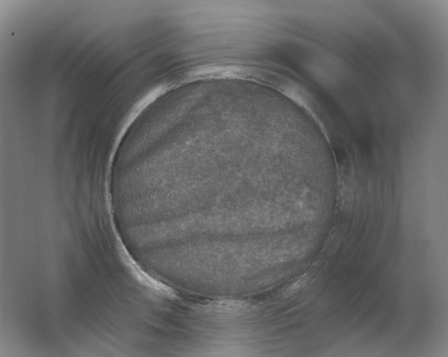 X0000062151090200512231526