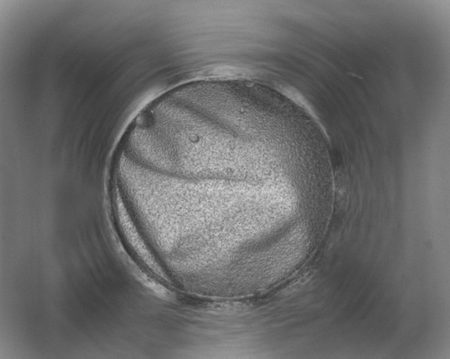 X0000062151091200512231526