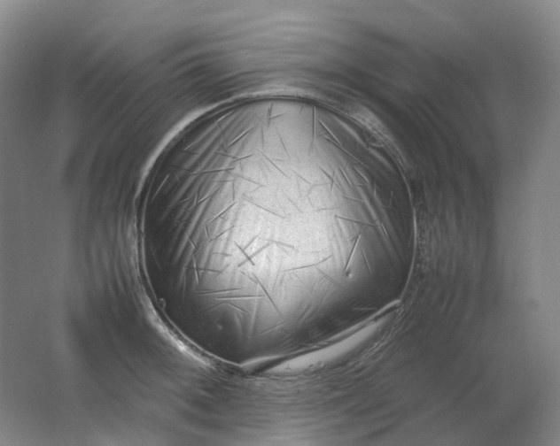 X0000062151092200512231526
