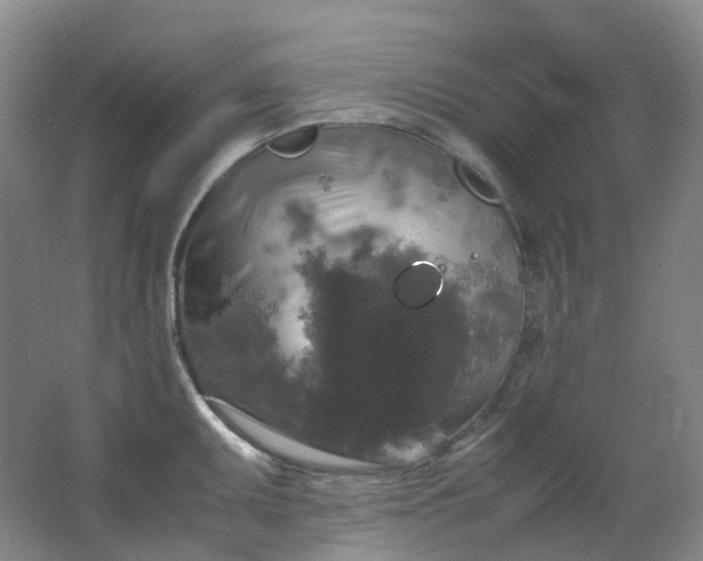 X0000062151095200512231525