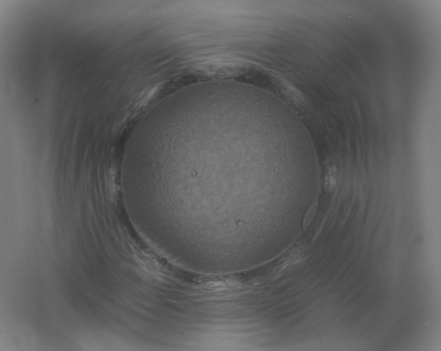 X0000062151108200512231525