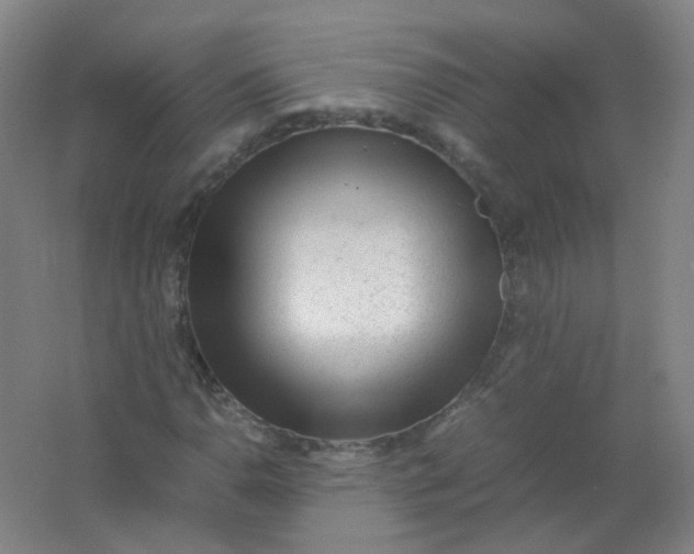X0000062151110200512231525