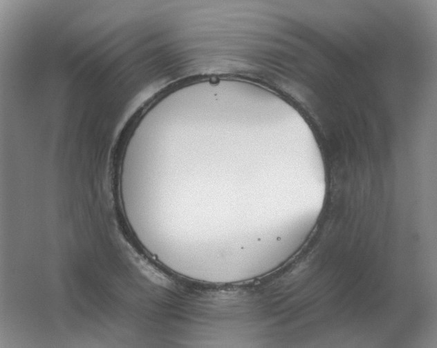 X0000062151122200512231525