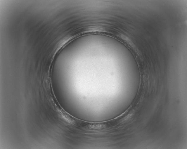 X0000062151129200512231525