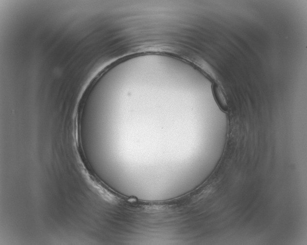 X0000062151132200512231525