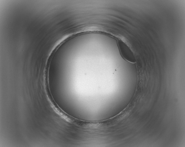 X0000062151134200512231525