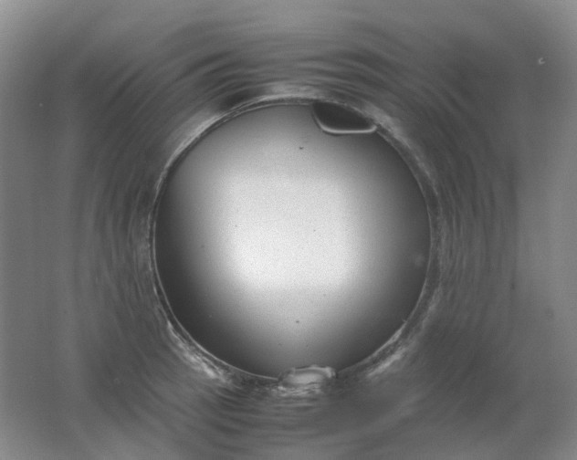 X0000062151137200512231525