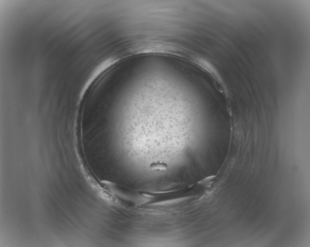 X0000062151138200512231525