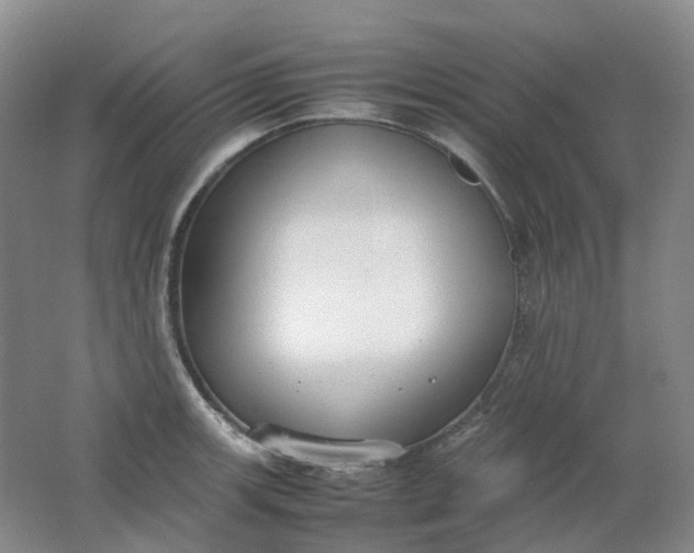 X0000062151139200512231525