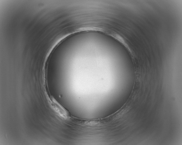 X0000062151140200512231525