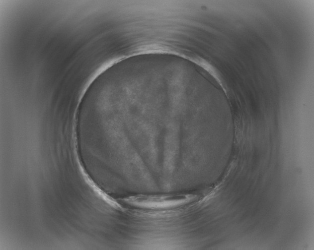 X0000062151142200512231525