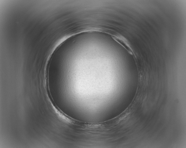 X0000062151143200512231525