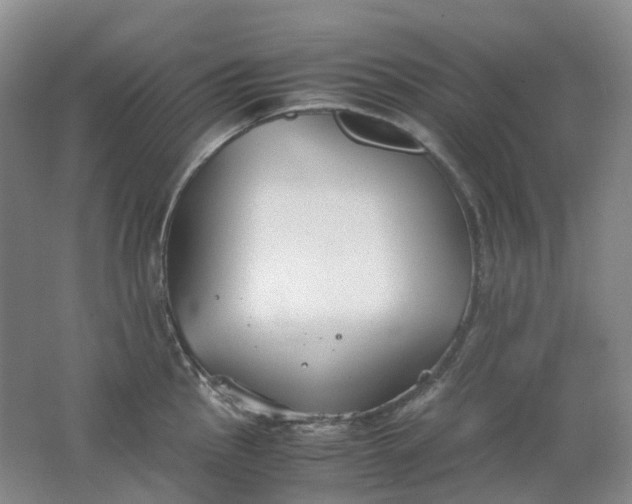 X0000062151145200512231525