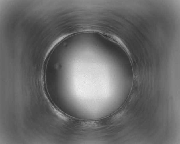 X0000062151149200512231525