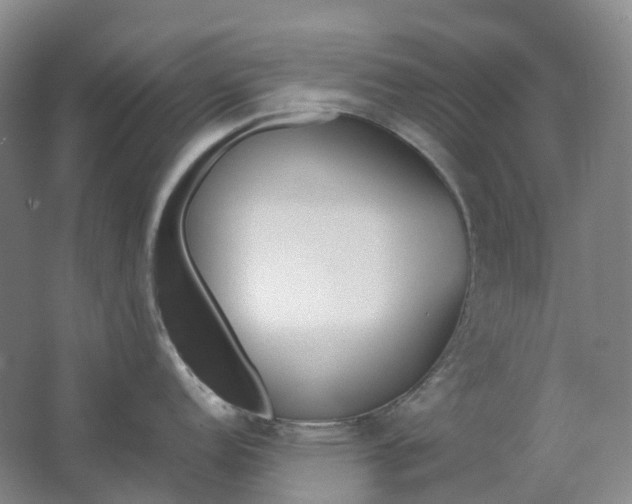 X0000062151152200512231525
