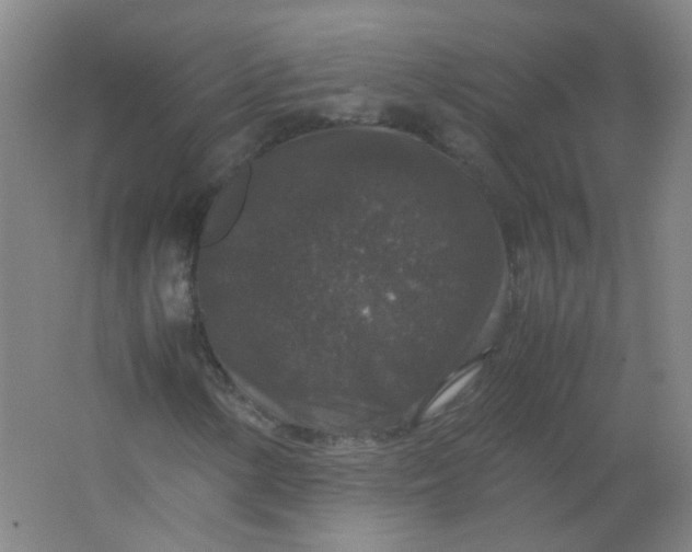 X0000062151154200512231524