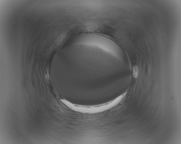 X0000062151155200512231524