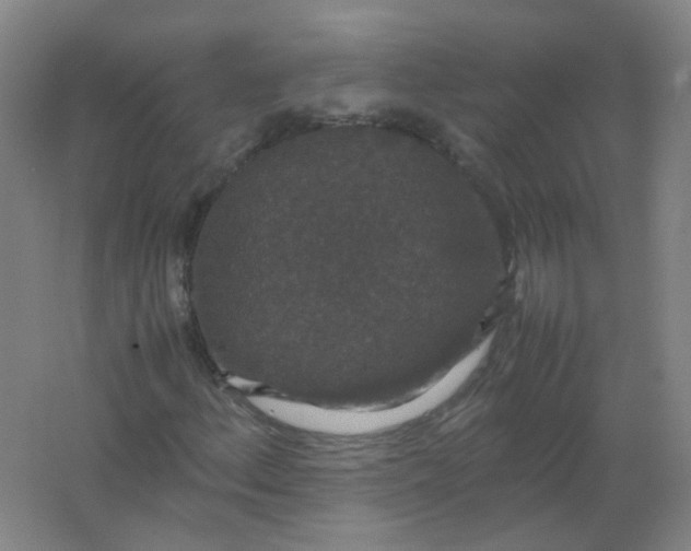 X0000062151156200512231524