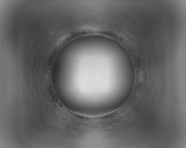 X0000062151157200512231524