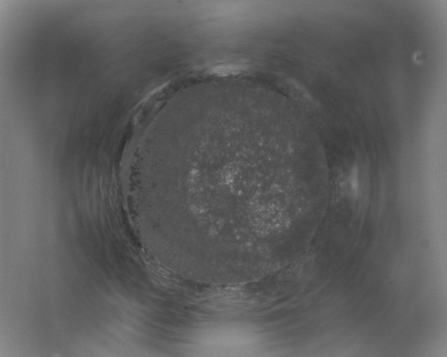 X0000062151158200512231524