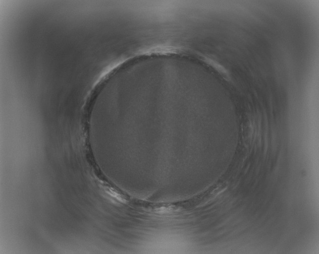 X0000062151160200512231524