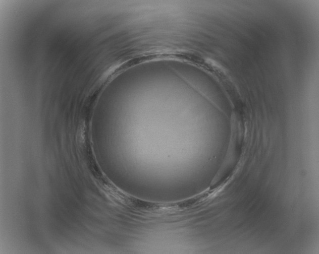 X0000062151161200512231524