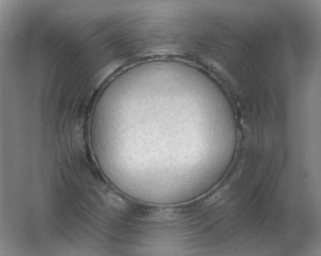 X0000062151162200512231524