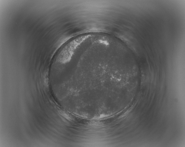 X0000062151170200512231524