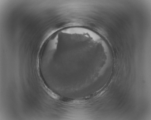X0000062151179200512231524