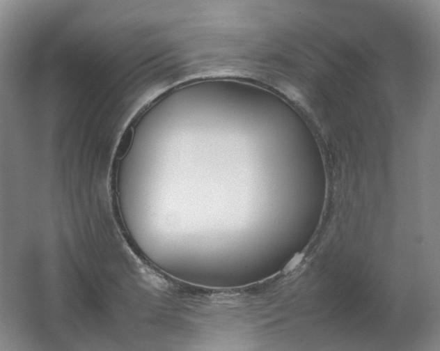 X0000062151181200512231524