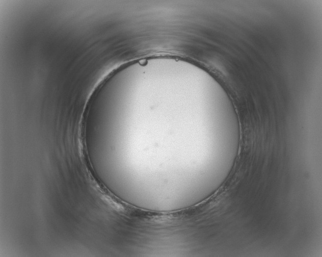 X0000062151182200512231524