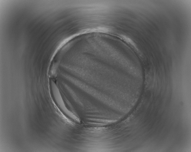 X0000062151184200512231524
